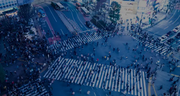 business mv